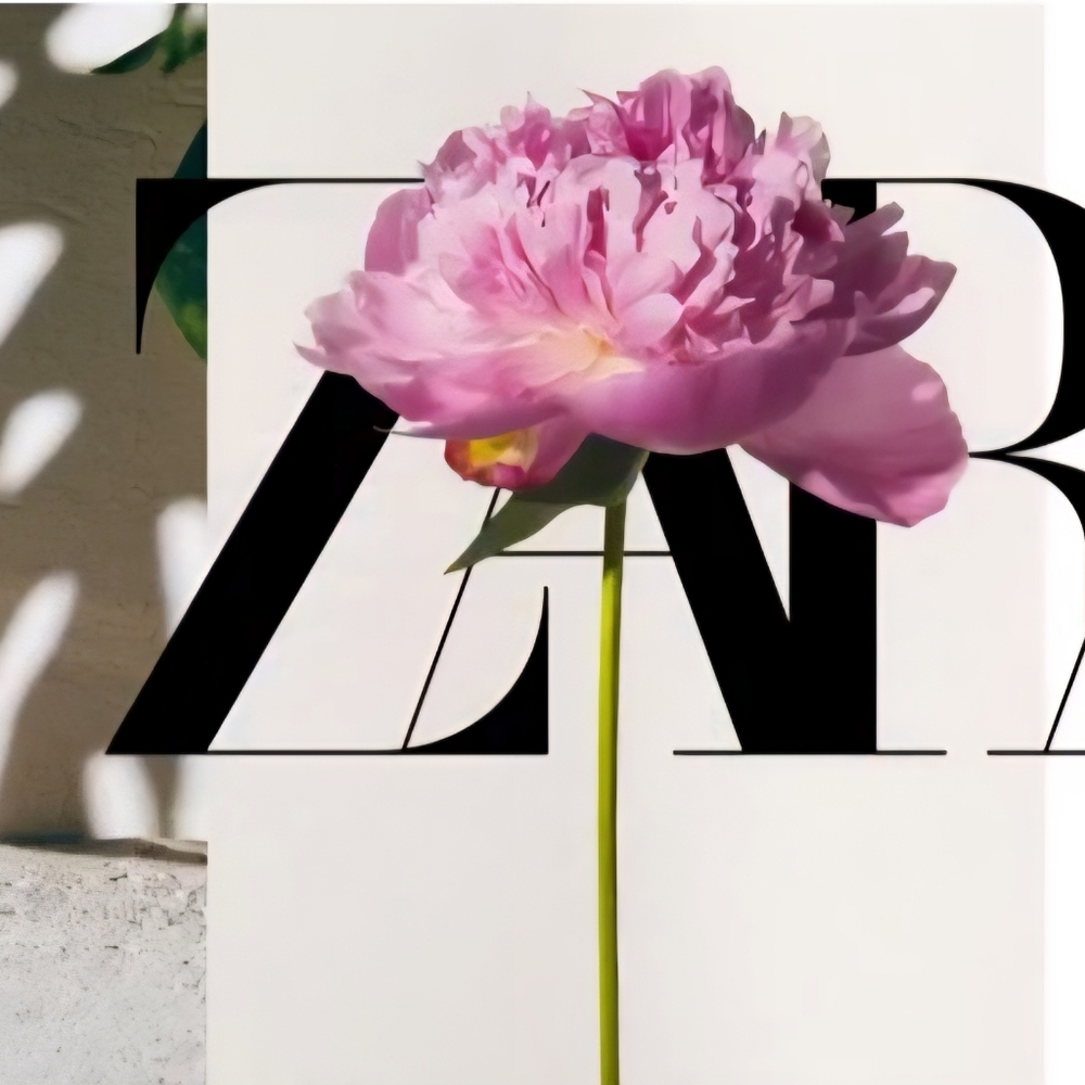 ZARA BONANZA COMING UP